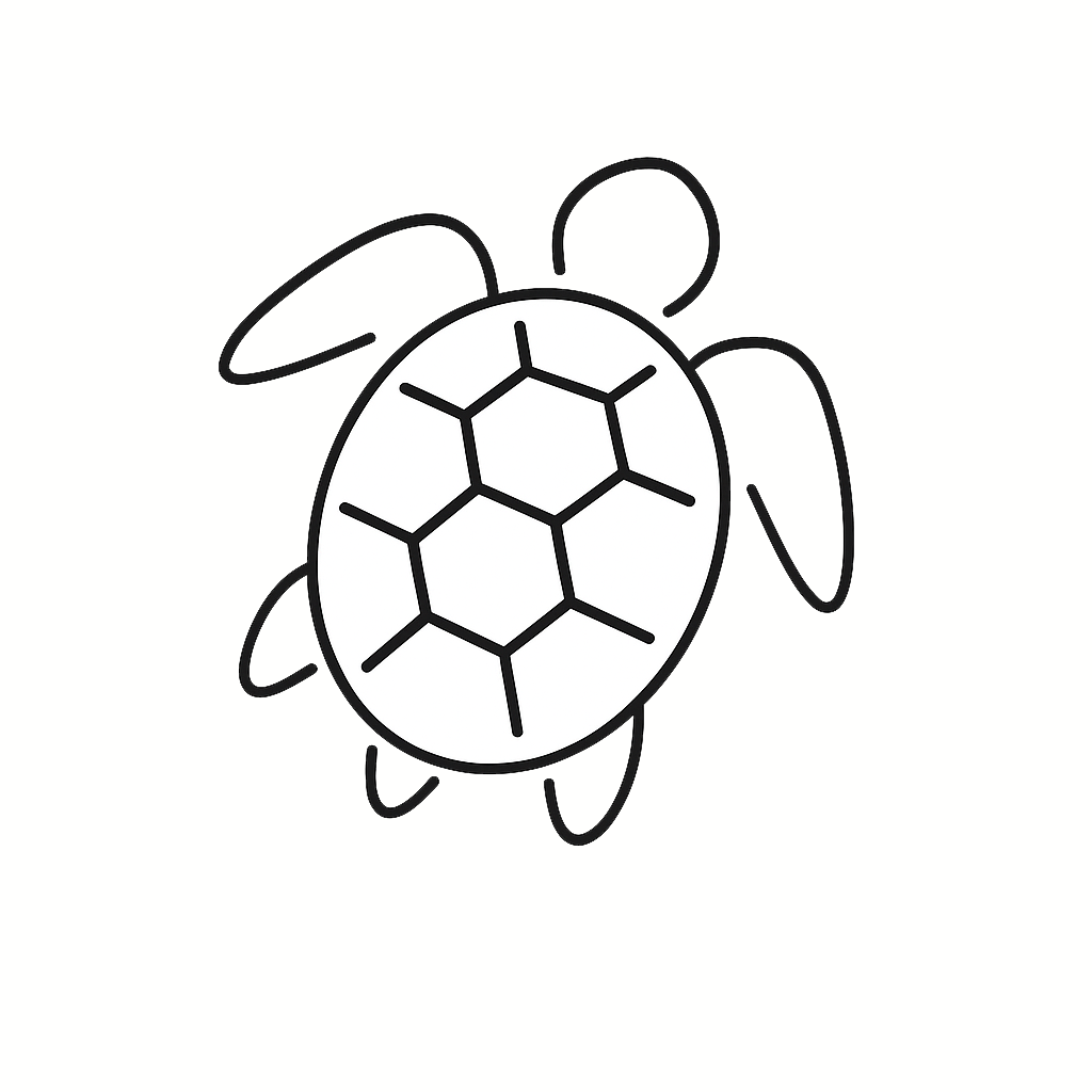 Seiko Turtle
