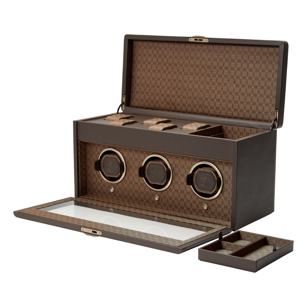 Earth Triple Watch Winder